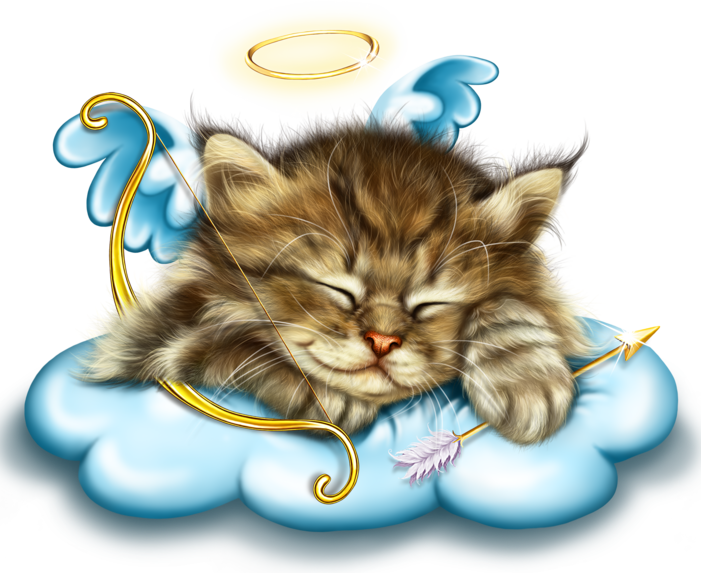 sleeping_cupid_kitty_1.png