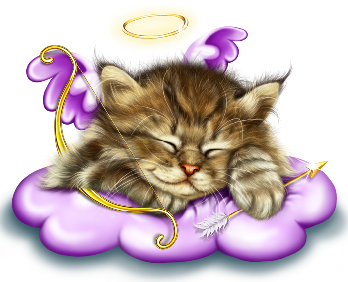 sleeping_cupid_kitty_3.png