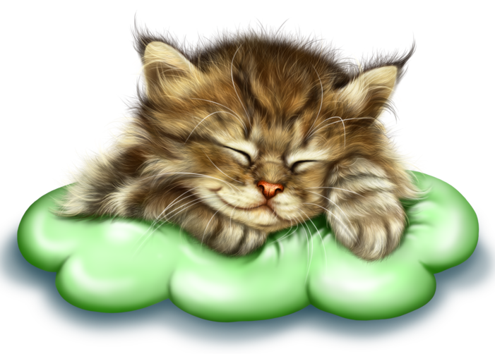 sleeping_cupid_kitty_6a.png
