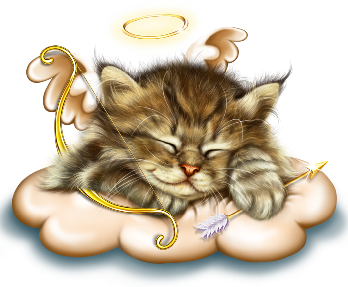sleeping_cupid_kitty_7.png