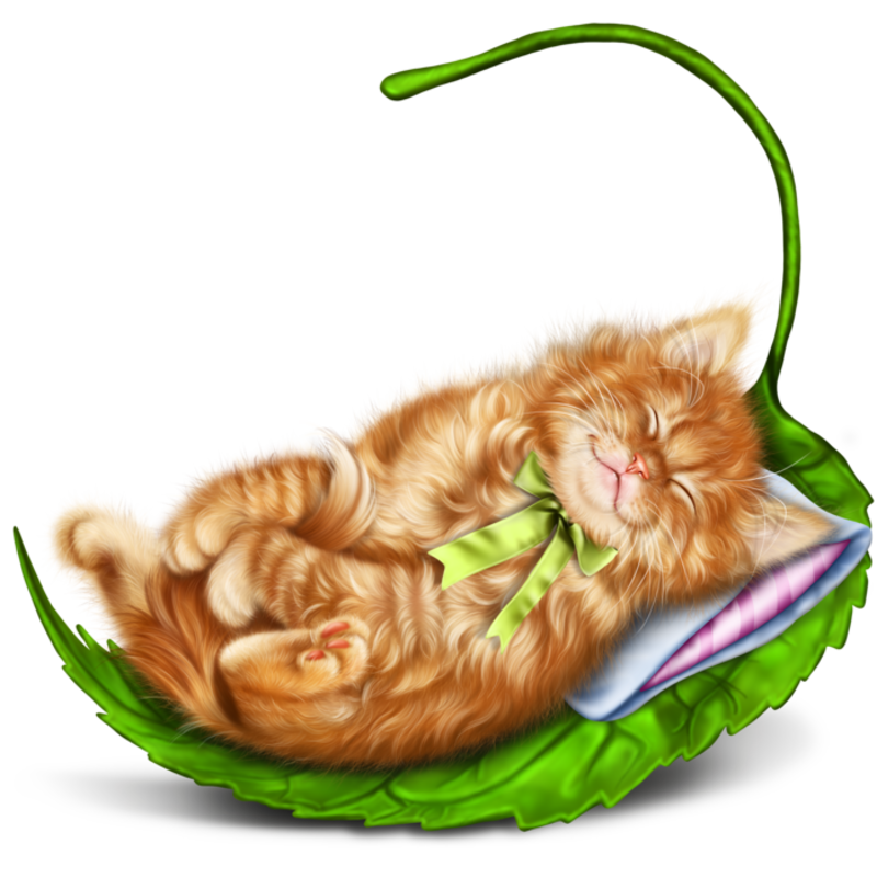 sleeping_kitty_and_lantern_2.png