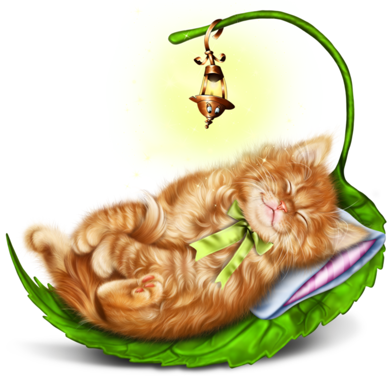 sleeping_kitty_and_lantern_3.png
