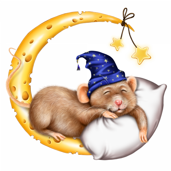 sleeping_mouse_8