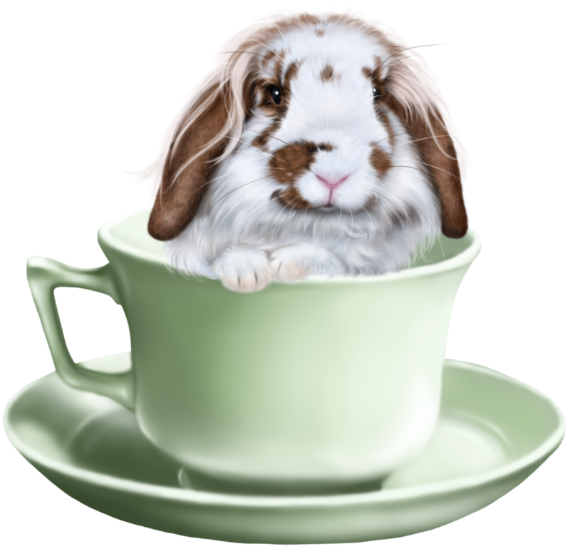 tea_party_cup-with-bunny_2.png