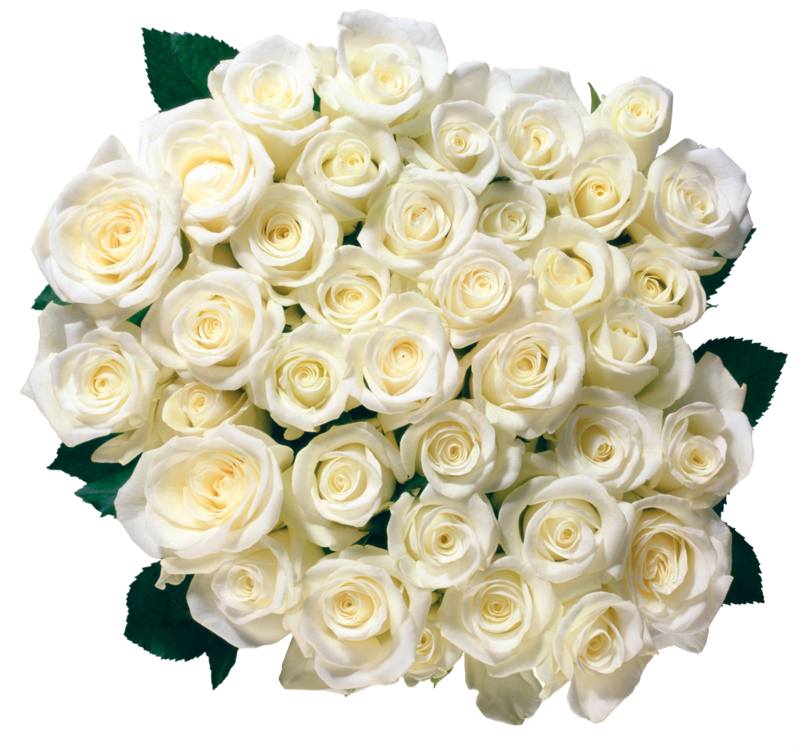 white_roses_PNG2787.png